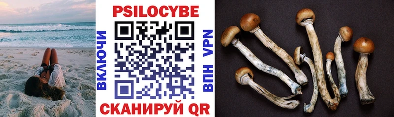 Галлюциногенные грибы Cubensis  это как зайти  Советск  купить наркотики сайты 